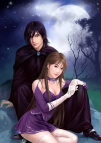 神婿
