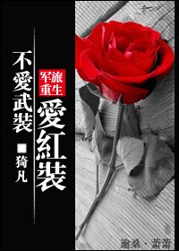 不爱武装爱红装(军旅重生)